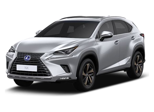 렉서스 NX NX 300h